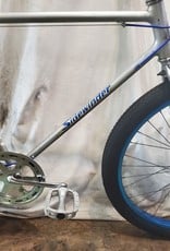 21"  Schwinn Sidewinder (0538 C2)