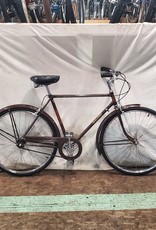 21" Raleigh Sports (6887 R2)