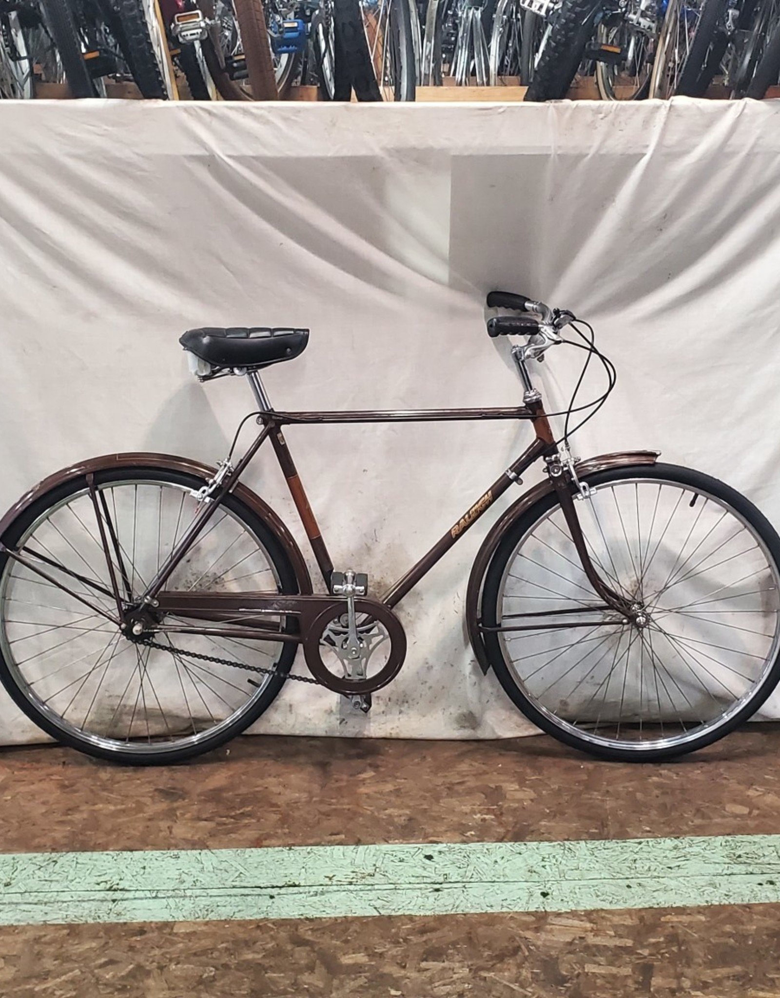 21" Raleigh Sports (6887 R2)