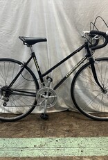 48cm Schwinn World Sport (2697 H3U)