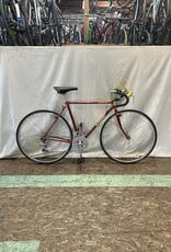 52cm  Nishiki Riviera GT (5617 K1)