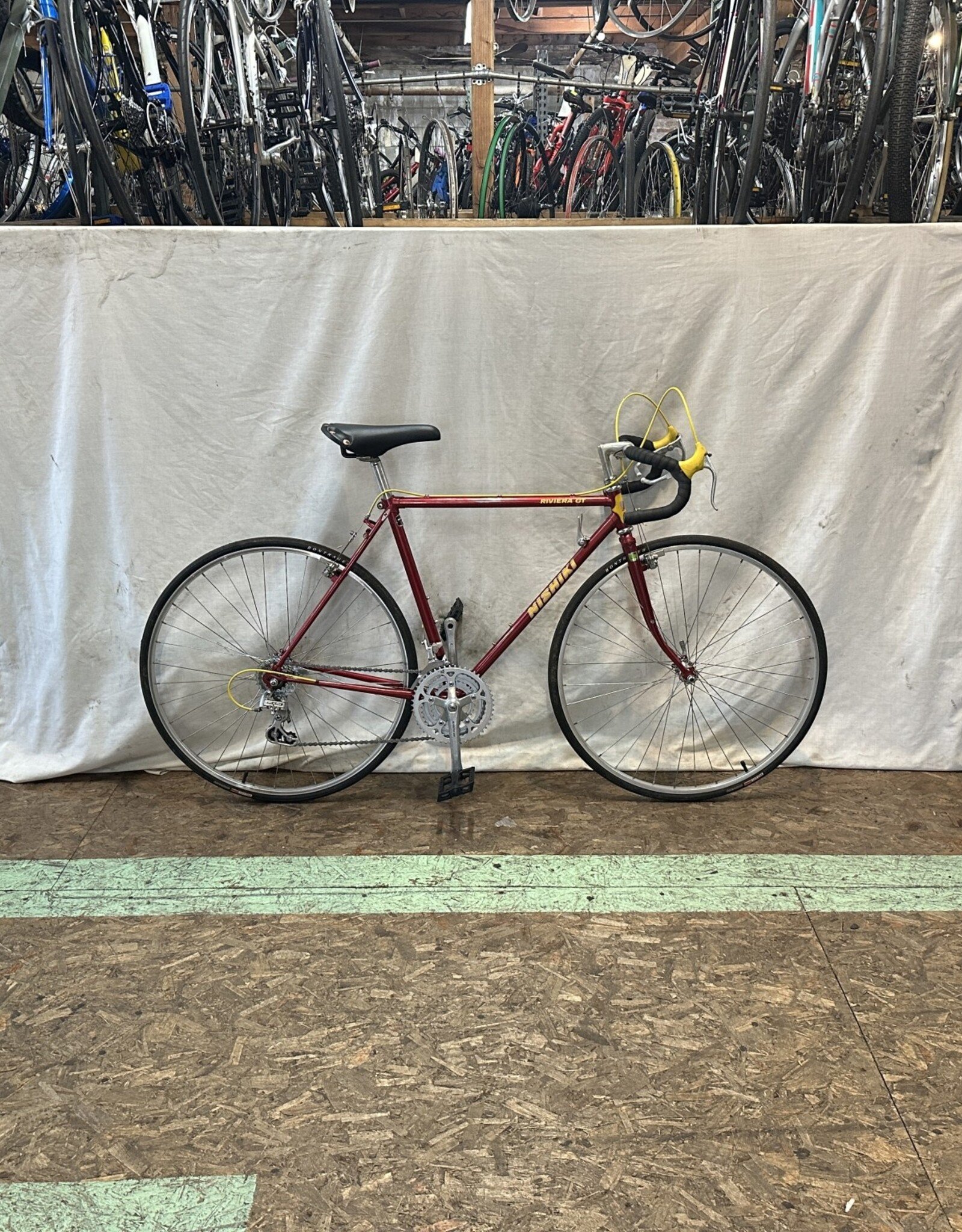 52cm  Nishiki Riviera GT (5617 K1)