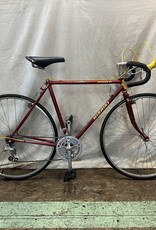 52cm  Nishiki Riviera GT (5617 K1)