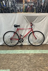 19.5" Schwinn Crossfit (4722 B2)