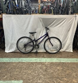 Raleigh 12"  Raleigh M20 (7163 B1)