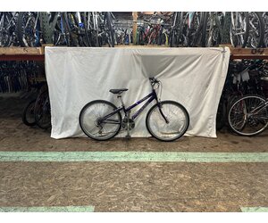Raleigh m20 review sale