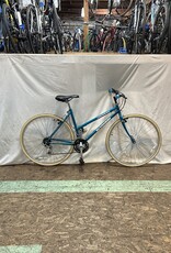 19" Schwinn Crossfit (6629 B1L)