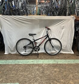 13"  Trek 800 Sport (60B1 B3U)