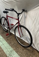 22" Schwinn Crossfit (8674 H1L)