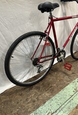 22" Schwinn Crossfit (8674 H1L)