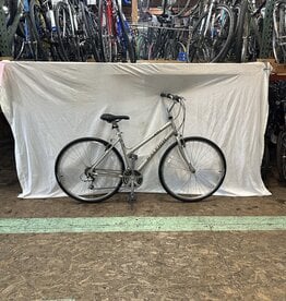 19"  Raleigh C40 (2060 H3L)