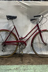 19"  Schwinn Suburban (0160 C4L)