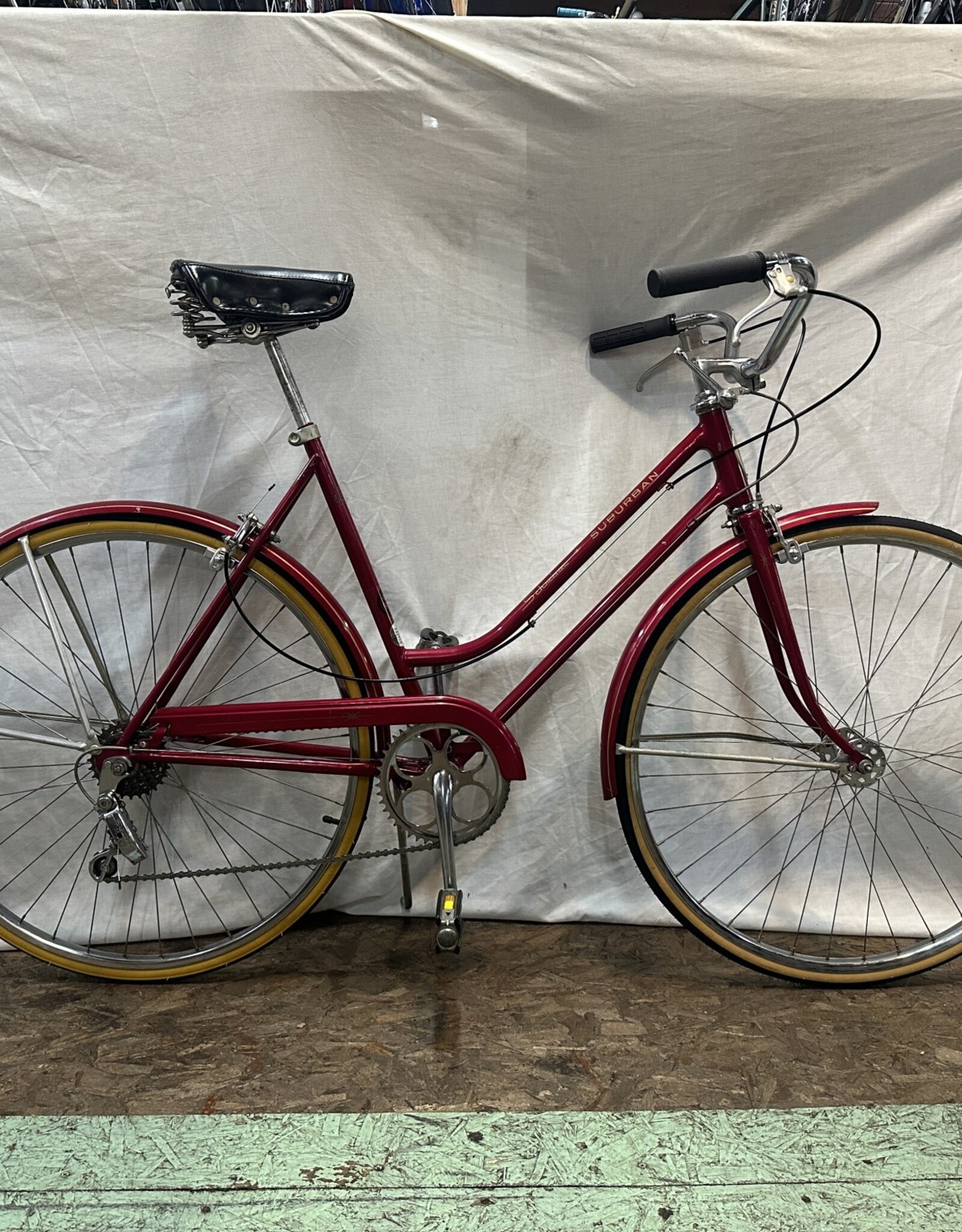 19"  Schwinn Suburban (0160 C4L)