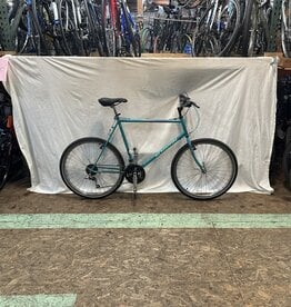 21.5"  Schwinn Woodlands (0048 I4L)