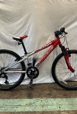 24"  Trek MT 220 (461C G1U)