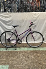 19" Schwinn Criss Cross (6255 G3U)