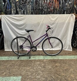 19" Schwinn Criss Cross (6255 G3U)