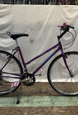19" Schwinn Criss Cross (6255 G3U)