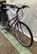 19" Schwinn Criss Cross (6255 G3U)