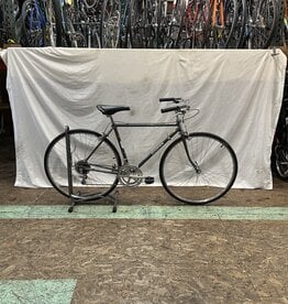 48cm  Schwinn Traveler (4158 E2L)