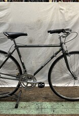 48cm  Schwinn Traveler (4158 E2L)