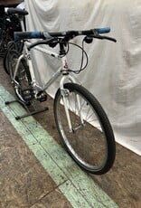 Raleigh 21"  Raleigh Technium  Mountain (8278 G4U)