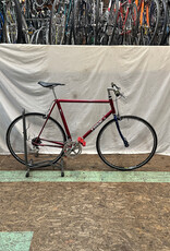 57cm  Trek 1100 (1591 H1U)