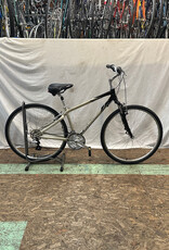 17" Giant Cypress (3609 I4U)