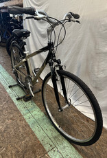 17" Giant Cypress (3609 I4U)