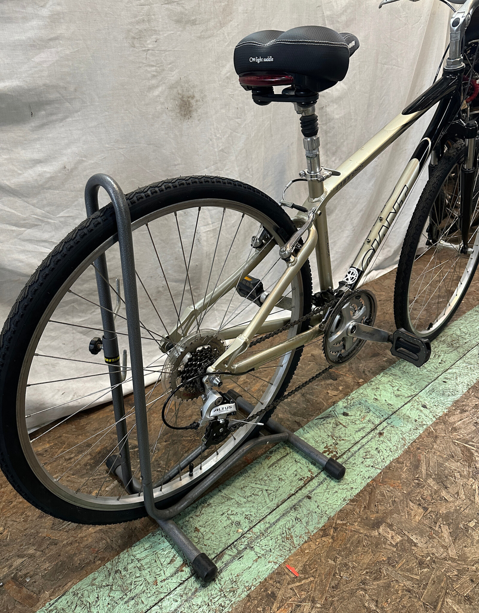 17" Giant Cypress (3609 I4U)