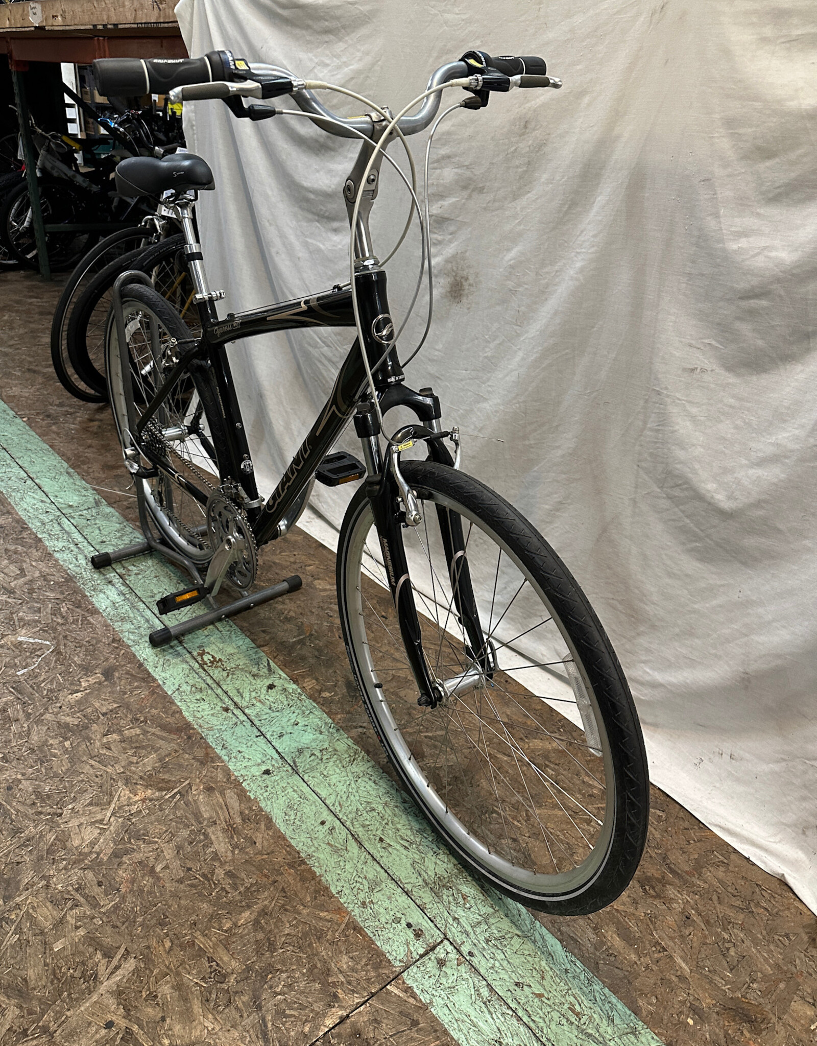 19.5"  Giant Cypress DX (7798 B2L)