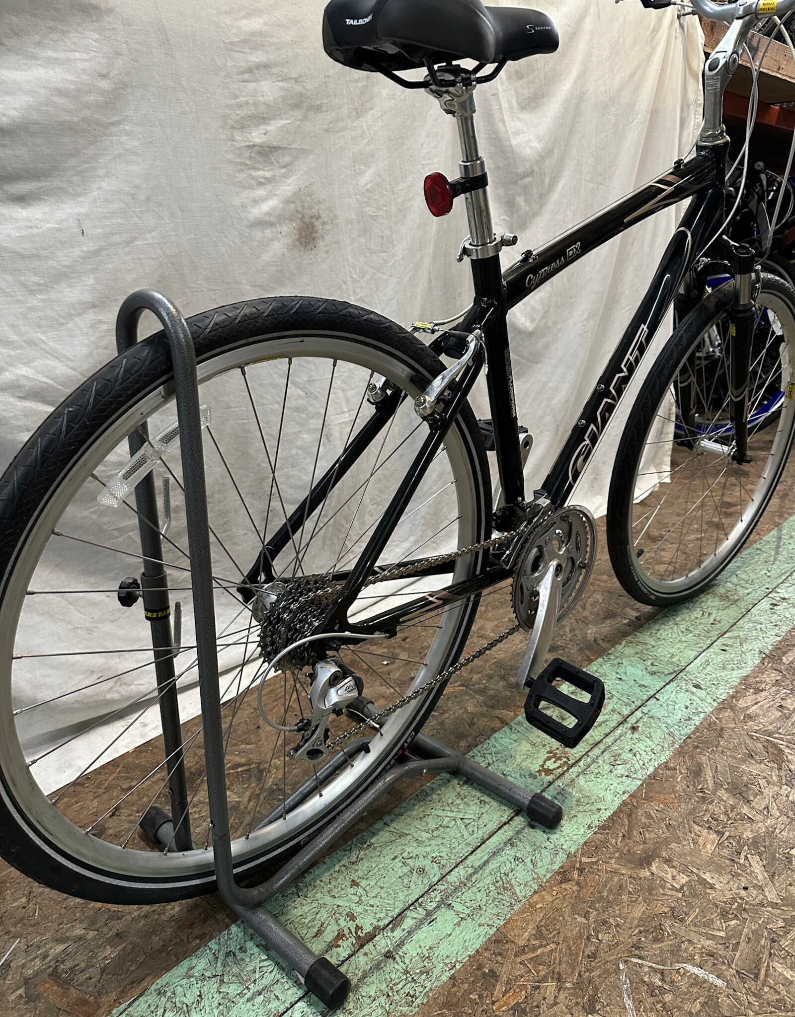 19.5"  Giant Cypress DX (7798 B2L)