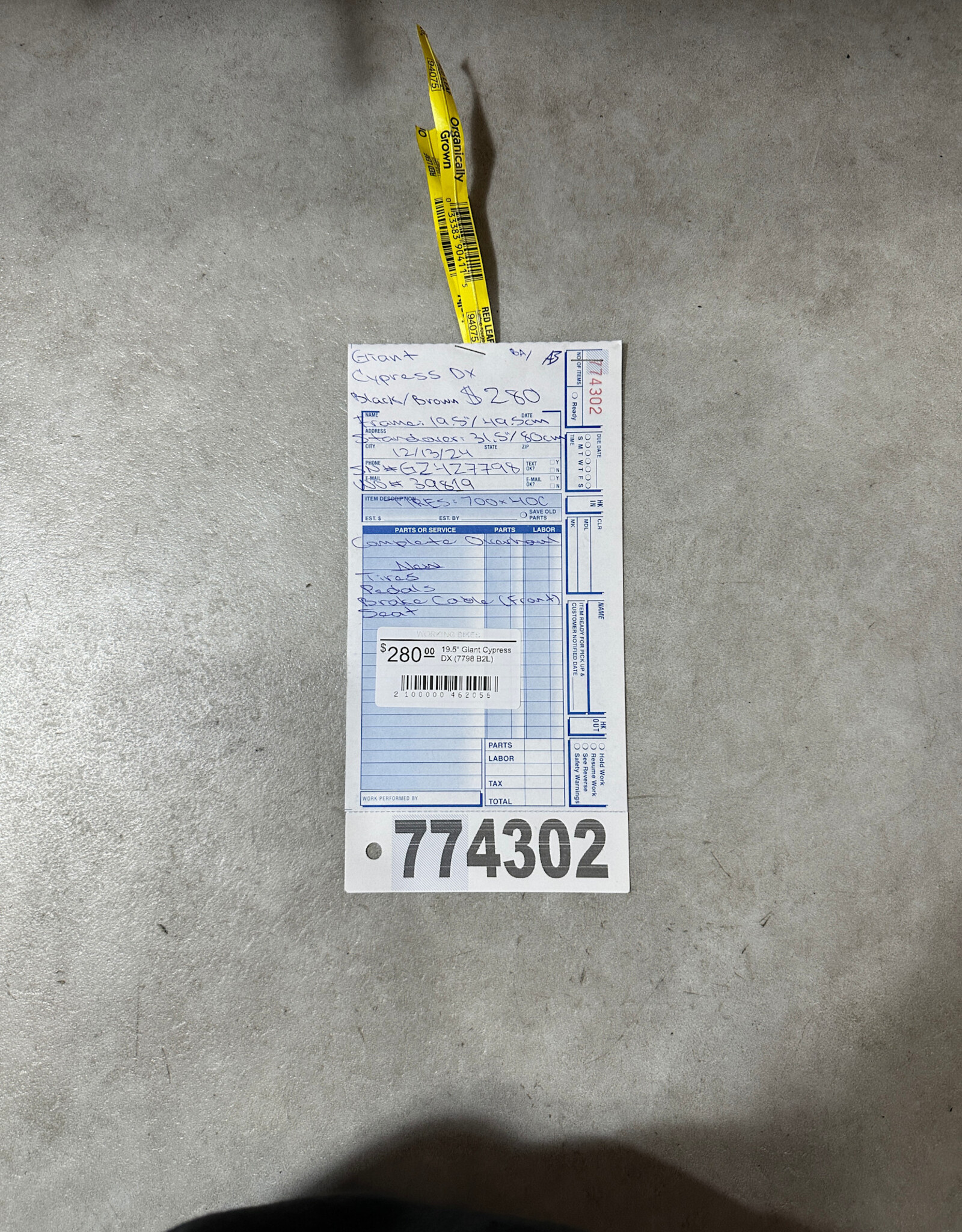 19.5"  Giant Cypress DX (7798 B2L)