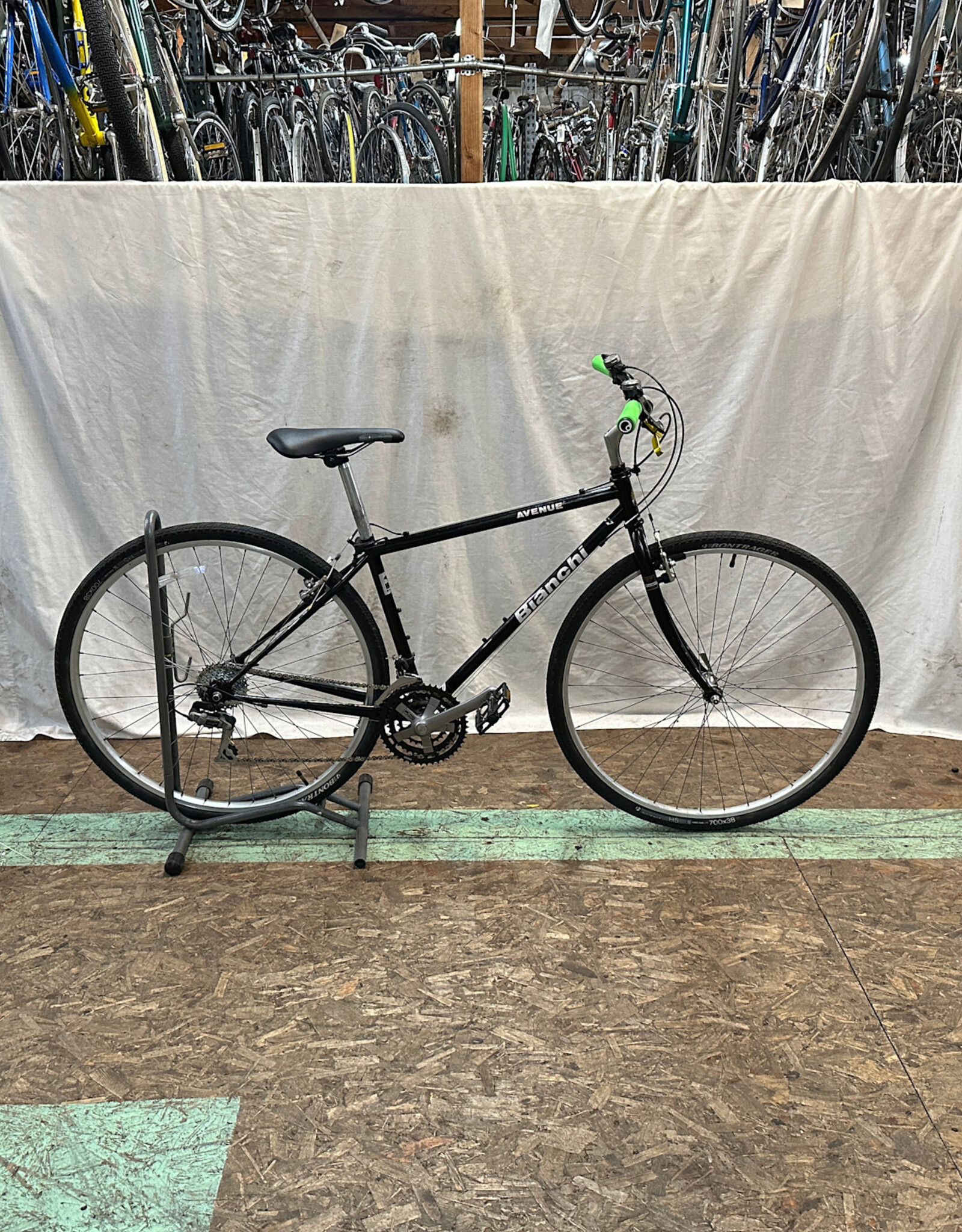 Bianchi 16.5" Bianchi Avenue (3826 K2U)