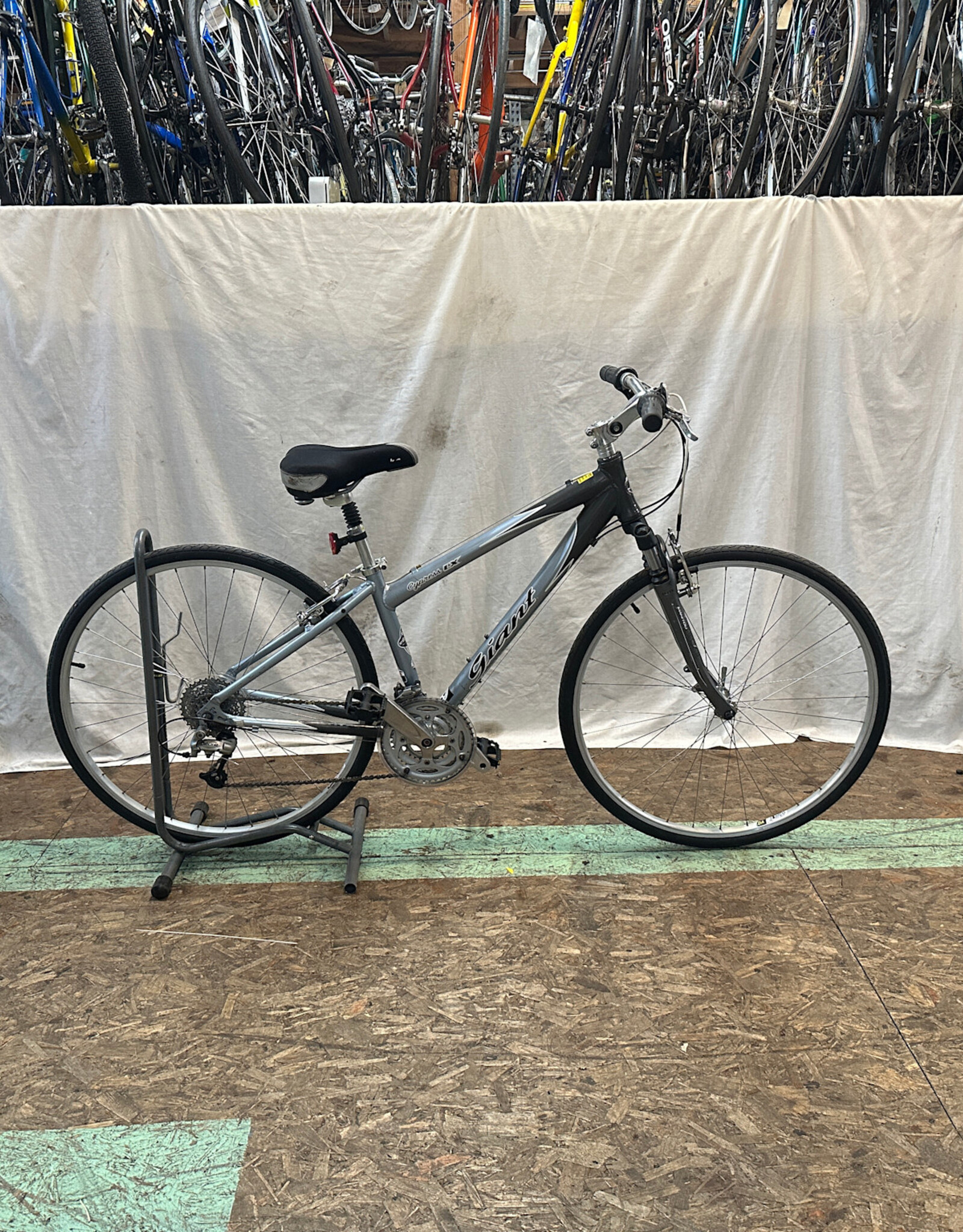 15"  Giant Cypress LX (7898 H4U)