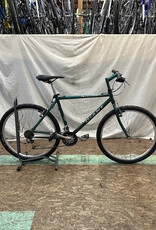 19" Giant Iguana (5927 B5U)