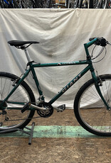 19" Giant Iguana (5927 B5U)