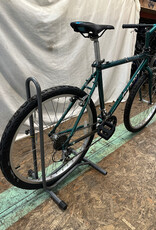 19" Giant Iguana (5927 B5U)