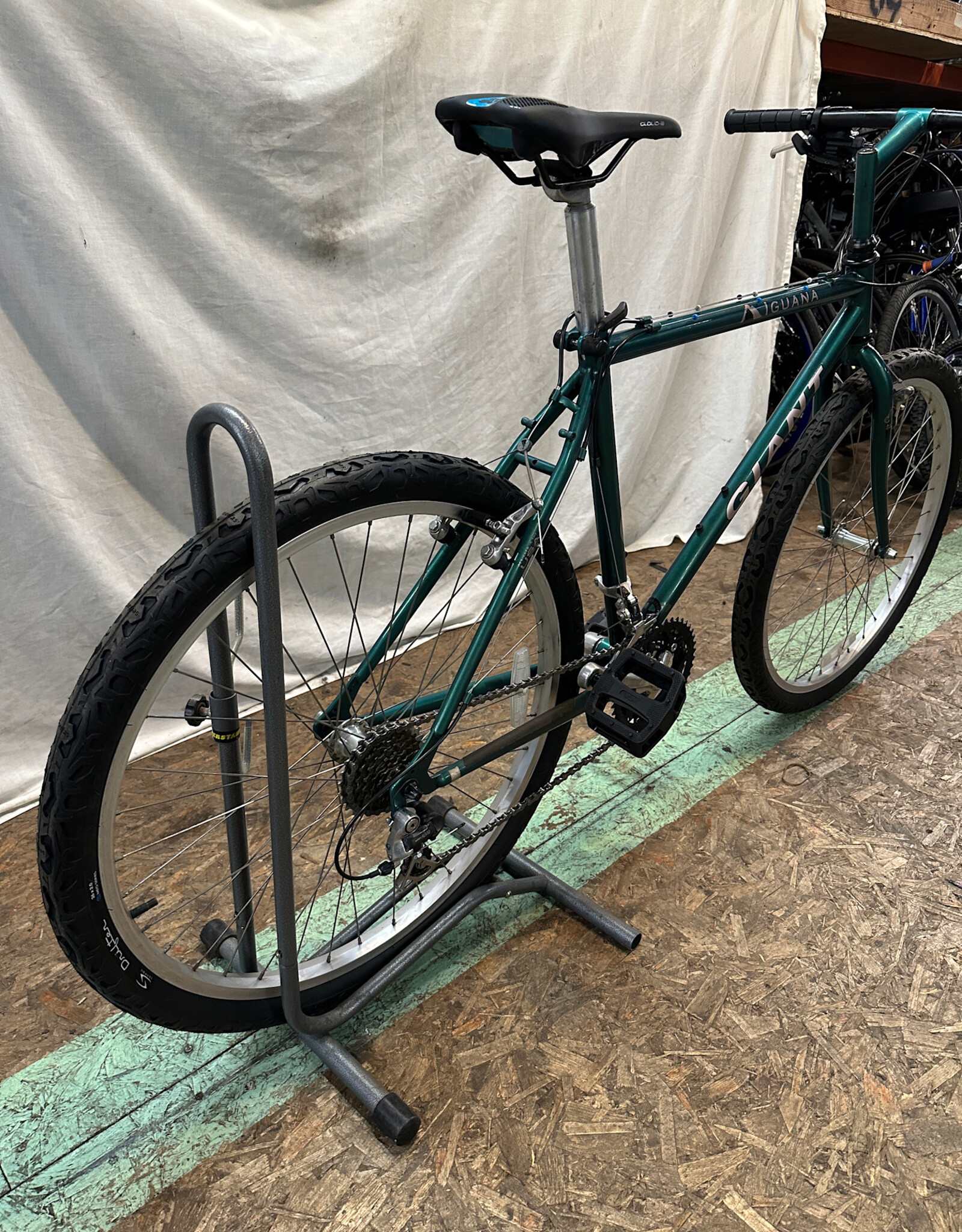 19" Giant Iguana (5927 B5U)