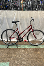 19.5" Giant Cypress (0593 A1L)