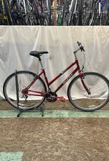 19.5" Giant Cypress (0593 B2U)