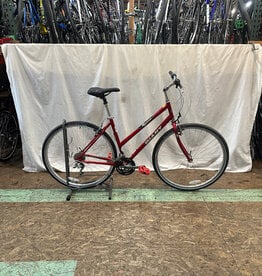 19.5" Giant Cypress (0593 B2U)
