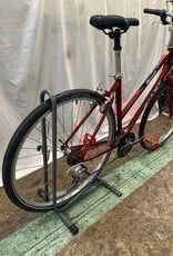 19.5" Giant Cypress (0593 B2U)