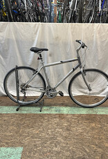21" Giant Cypress (4845 A1L)