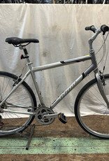 21" Giant Cypress (4845 A1L)
