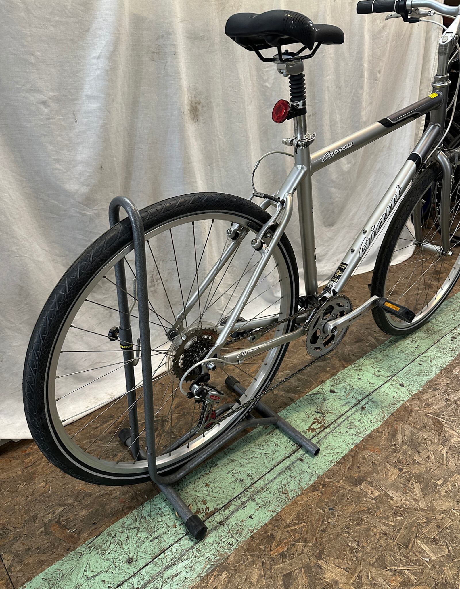 21" Giant Cypress (4845 A1L)
