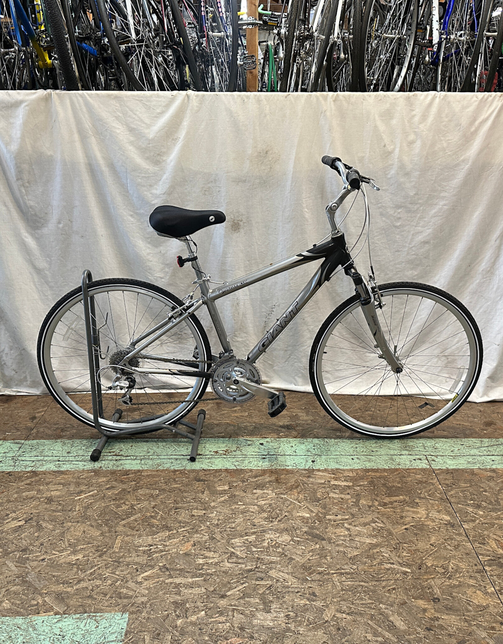 17" Giant Cypress DX (0276 G2L)