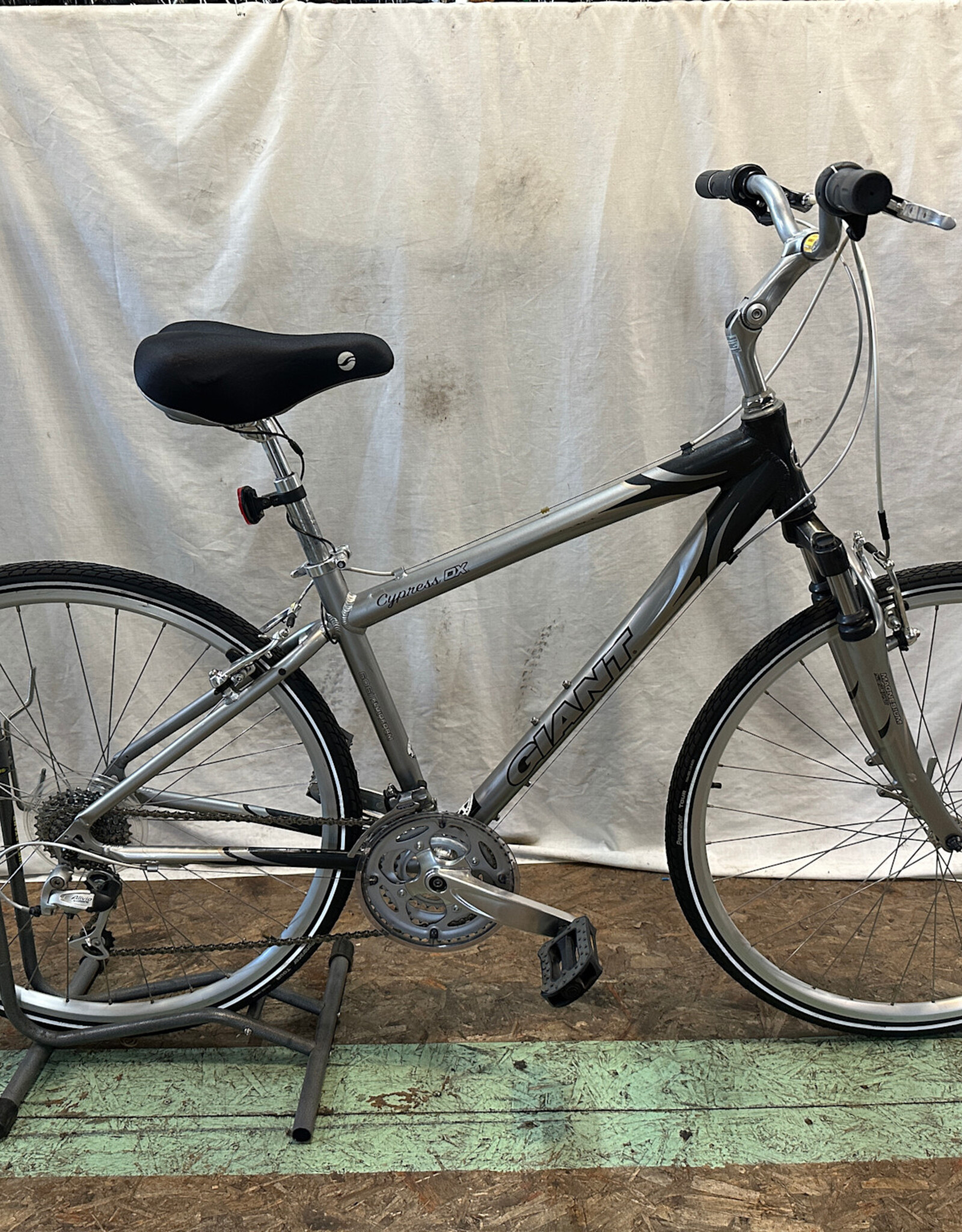 17" Giant Cypress DX (0276 G2L)