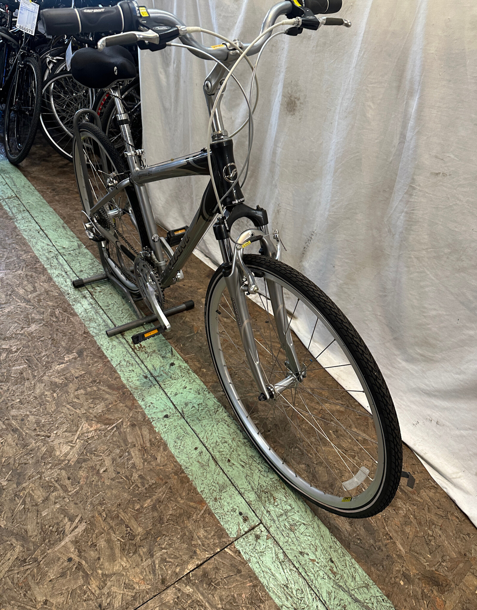 17" Giant Cypress DX (0276 G2L)