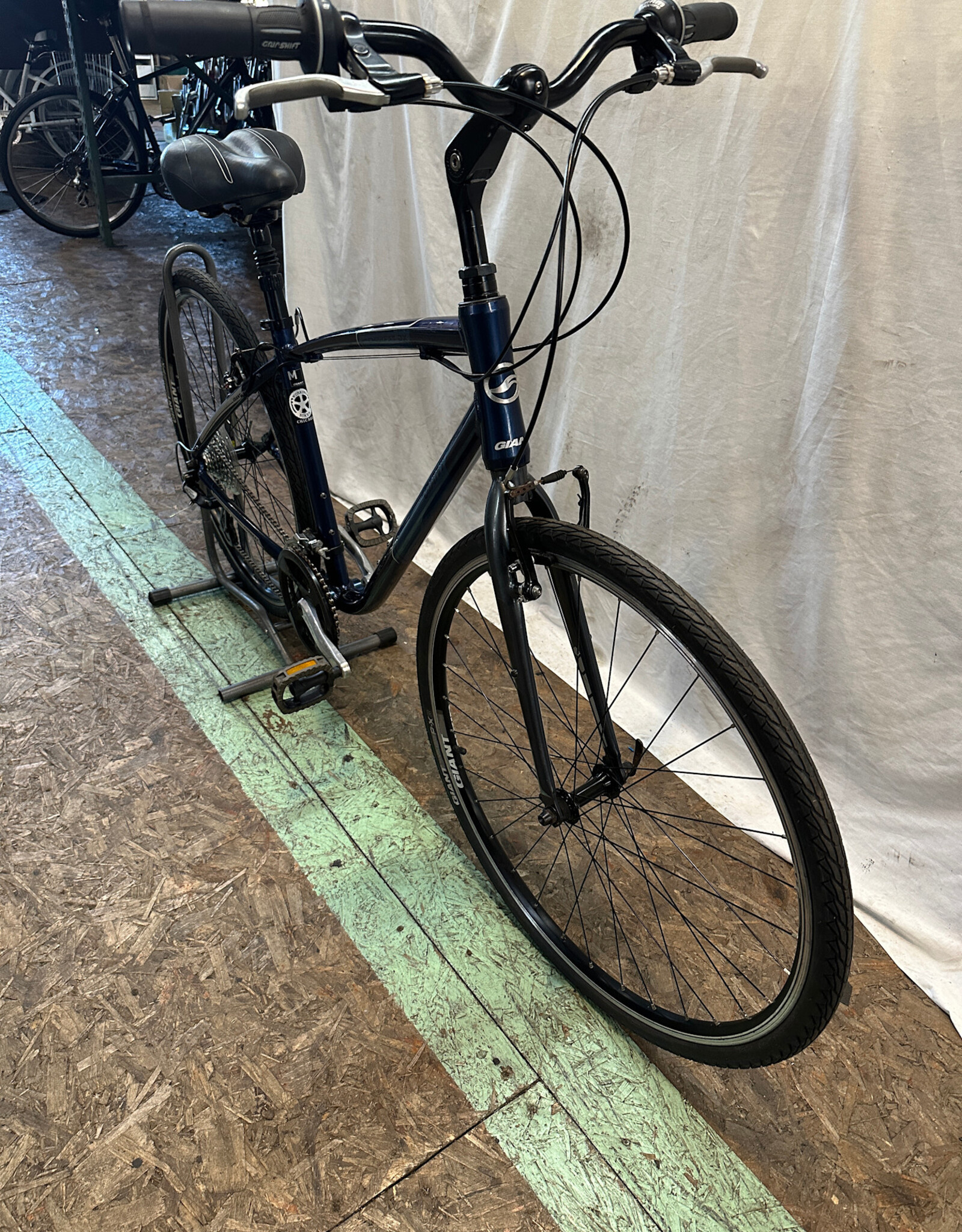 18" Giant Cypress DX (1773 A2U)